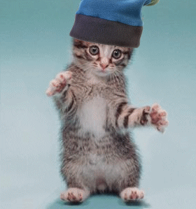 oui