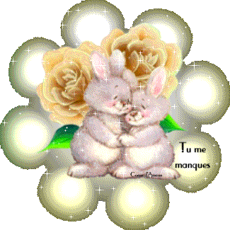 tu me manque