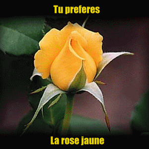oui*